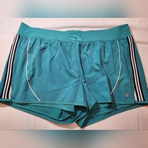 Avia Women's Teal Shorts Size Xl